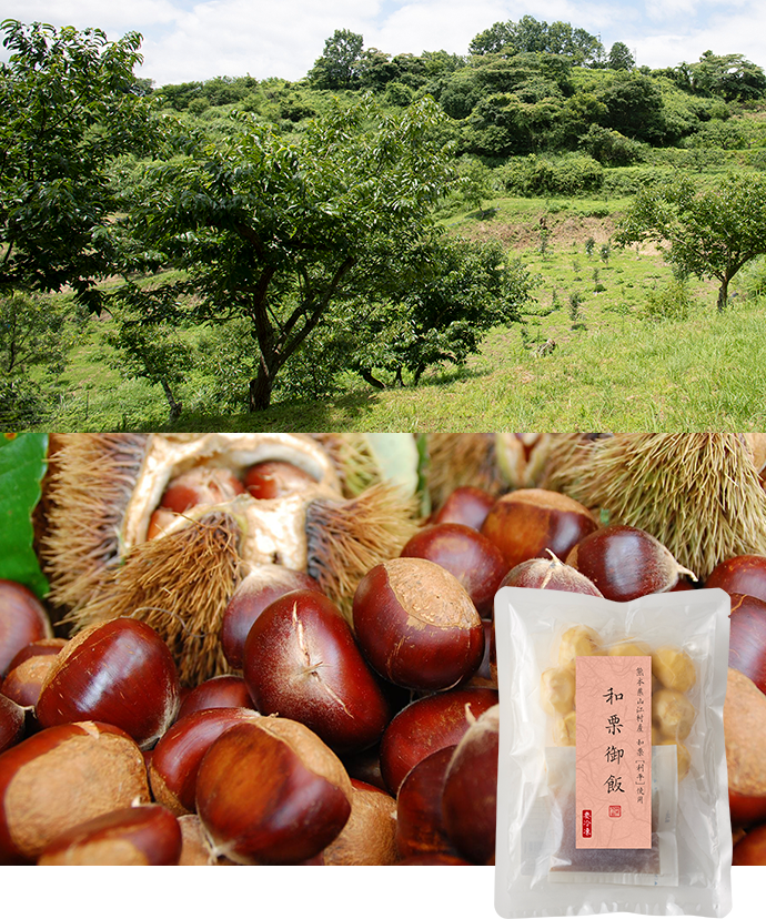 熊本県山江村産 和栗[利平]使用『和栗御飯』