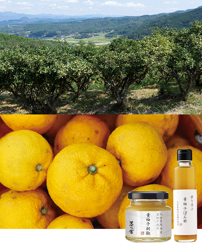 大分県院内産 ハンザキ柚子使用『黄柚子胡椒』