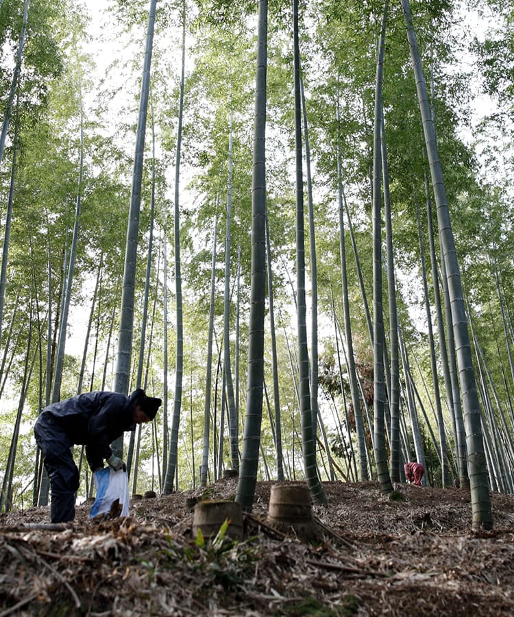 八女の山里