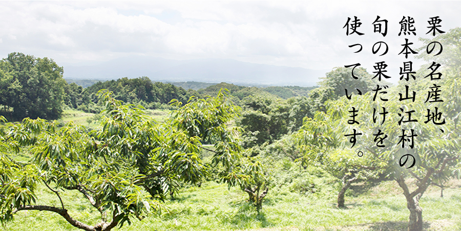 栗の名産地、熊本県山江村の旬だけを使っています。